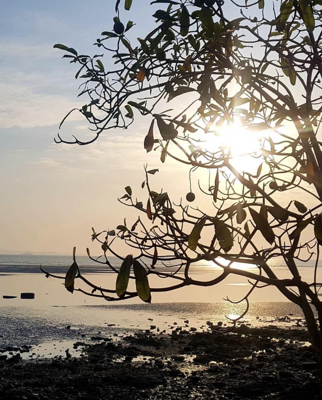 Sinae Phuket Hotell Eksteriør bilde